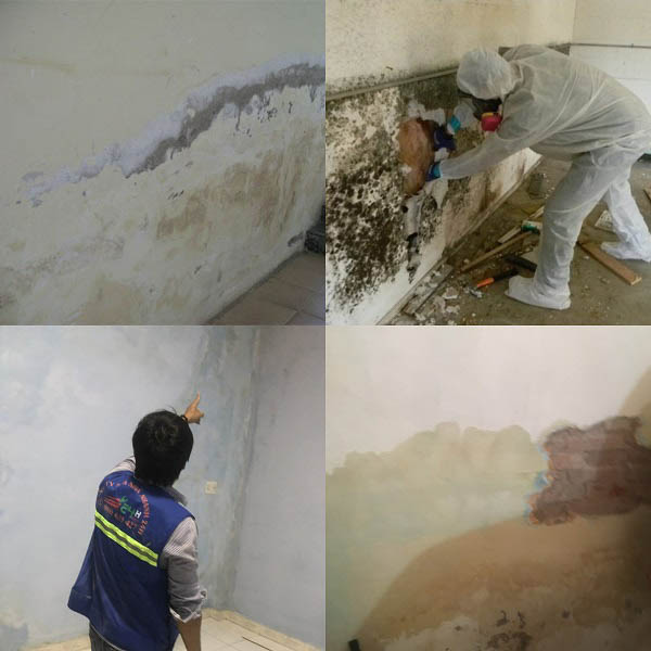 Nên chống thấm từ đầu hạn chế tường nhà mới xây bị thấm