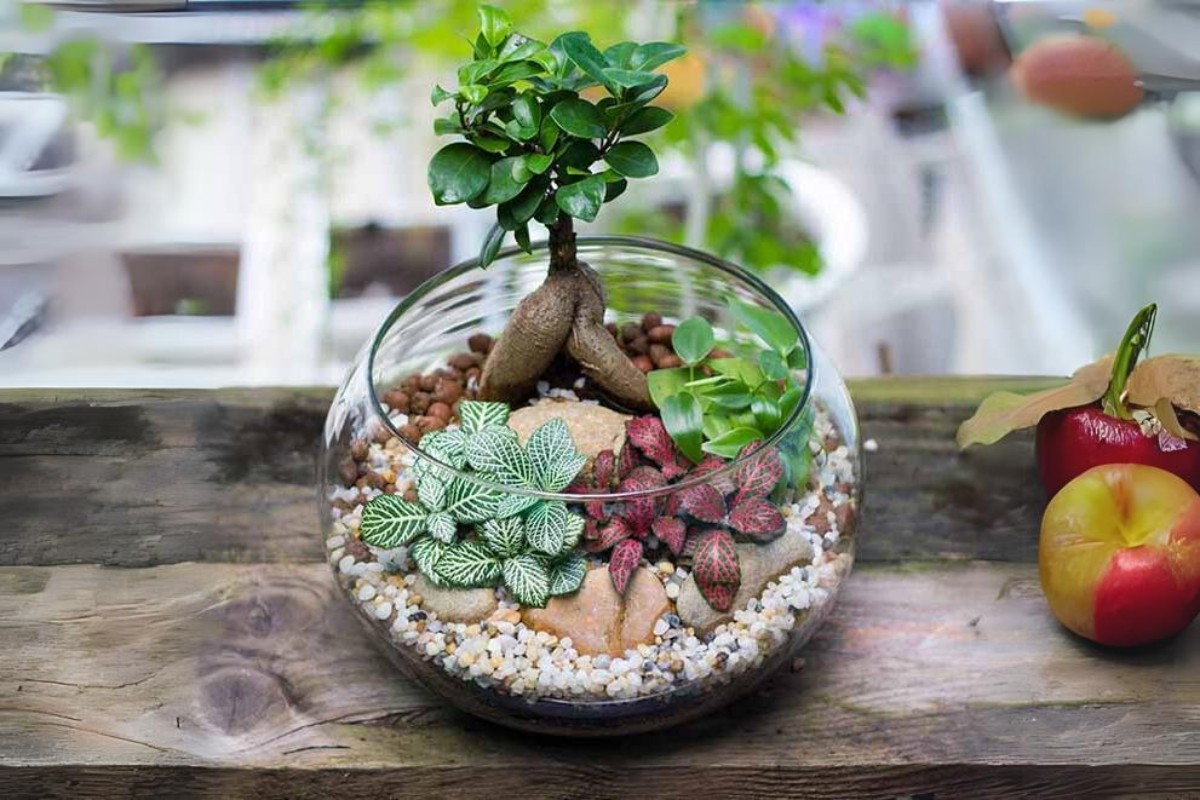 Tiểu cảnh sân vườn handmade